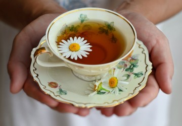 Chamomile: The apple of among flowers